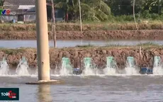 Triển khai nhiều giải pháp đảm bảo nguồn điện nuôi tôm mùa khô hạn