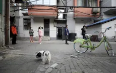 Cuộc sống ở Vũ Hán, Trung Quốc dần trở lại bình thường