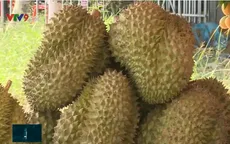 Nhiều giải pháp mở rộng đầu ra cho nông sản trong mùa COVID-19