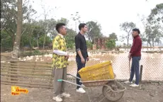 Phim sitcom Ba chàng ngốc: Nhận cái kết đắng vì dùng chiêu trò lừa đảo khách mua vịt online