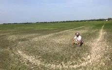 Nông dân ĐBSCL thiệt hại nặng do hạn mặn và tư duy sản xuất “hên - xui”