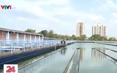 TP.HCM tính phương án trữ nước đề phòng ảnh hưởng của hạn mặn