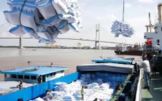 Cần xem xét độ vênh số liệu về lượng tồn kho và sản lượng gạo trong nước