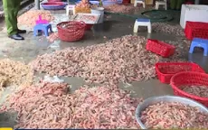 Phát hiện cơ sở chế biến tôm chết thành tôm nõn