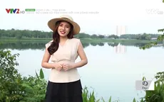 Gợi ý những set đồ ấn tượng cho các cô nàng