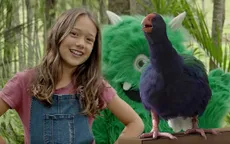 Loài chim quý hiếm của New Zealand xuất hiện trong video hướng dẫn an toàn bay mới