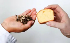 Thưởng thức bánh ngọt từ... côn trùng