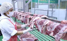 Hạ giá thịt lợn hỗ trợ phòng chống dịch