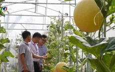 Lào Cai chú trọng cho vay hộ dân vùng khó khăn