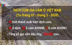10 tỉnh, thành đã xuất hiện dịch cúm gia cầm