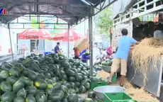 Giải cứu nông sản: Đừng lợi dụng lòng thương!