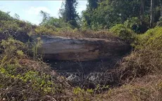 Gỗ tiêu hủy bị đốt cháy bất thường