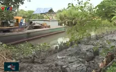 Liên kết vùng trong phòng chống hạn mặn