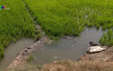 Trữ nước ngọt ứng phó xâm nhập mặn