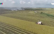 Hiệu quả công tác ứng phó hạn mặn của Bạc Liêu