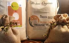 Liên kết sản xuất gạo hữu cơ, hướng tới xuất khẩu bền vững