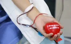 Cần Thơ: Vận động hiến máu tình nguyện, đảm bảo nhu cầu cứu chữa người bệnh dịp Tết