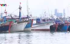 Khó khăn của ngư dân khi giá cá ngừ giảm mạnh