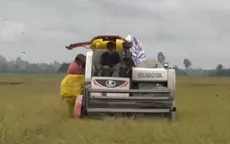 Đồng bào dân tộc Khmer Nam Bộ đón Tết Chôl Chnăm Thmây trong niềm vui được mùa