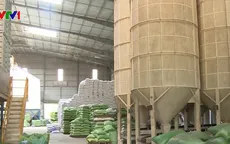 Doanh nghiệp xuất khẩu gạo kiến nghị phân bổ lại số lượng hạn ngạch