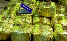 Truy nã toàn quốc đối tượng trong đường dây vận chuyển trái phép hơn 30kg ma túy đá