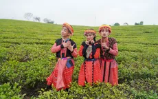 Ẩm thực kỳ thú: Mạc Văn Khoa, Đỗ Duy Nam cover "Để Mị nói cho mà nghe" cực hài hước