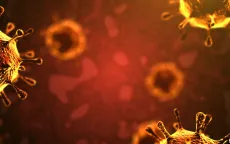 Mỹ yêu cầu Trung Quốc cho tiếp cận phòng thí nghiệm virus ở Vũ Hán