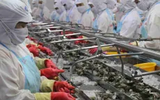Xuất khẩu tôm vào Mỹ tăng mạnh