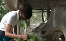 Lao động bị mất việc mong chờ gói hỗ trợ an sinh
