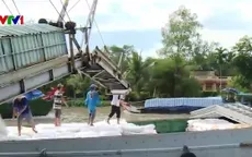 Thống kê số lượng gạo được mở tờ khai hải quan nhưng khai khống