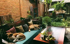 Căn nhà “chắp vá” xinh xắn ở Hội An