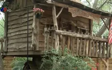 Mỹ: Bác sĩ tự cách ly... trên cây