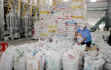 Thêm 38.000 tấn gạo được xuất khẩu trong hạn ngạch tháng 4