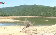Nắng nóng kéo dài, hàng loạt hồ chứa ở Quảng Ngãi cạn kiệt nước