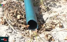 Đất canh tác bị bỏ hoang do nắng hạn, người dân Khánh Hòa rơi vào cảnh nhàn rỗi