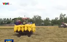 Bỏ cơ chế hạn ngạch - gỡ khó cho doanh nghiệp xuất khẩu gạo
