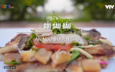Khó quên hương vị gỏi sầu đâu