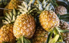 Hậu Giang: Giá dứa giảm còn 3.000 đồng/trái