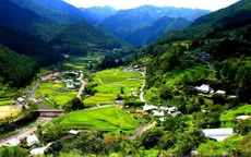 Xu hướng thành phố không rác thải