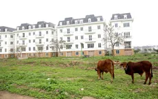 Gần 35.000 doanh nghiệp rút lui khỏi thị trường trong quý I/2020