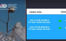 Giá các mặt hàng công nghiệp nhẹ khởi sắc