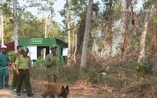 Khánh Hòa nỗ lực giảm điểm nóng về xâm hại rừng