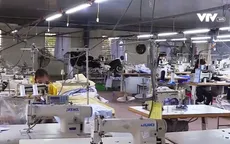 Lao động và doanh nghiệp khó khăn vì bến phà dừng hoạt động