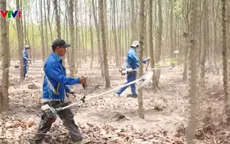 Chi bộ nhà máy Tân Mai - Chi bộ 45 năm giữ rừng