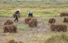 Từ 11 - 12/5, mưa giông mở rộng xuống các tỉnh Bắc Trung Bộ