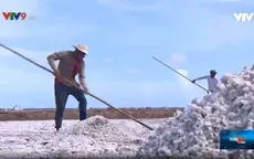 Nâng tầm hạt muối Việt