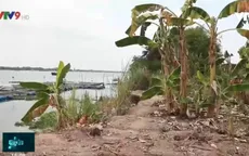 Đồng Tháp: Người dân lo lắng vì sạt lở gia tăng