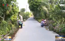 Vĩnh Long khoác áo hoa cho đường nông thôn mới