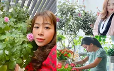 Ban công ngập hoa của các nữ phóng viên, biên tập viên VTV