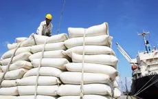 Giá gạo Việt Nam xuất khẩu cao chót vót